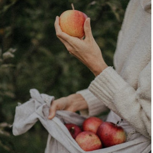 高H肉 上下其手
