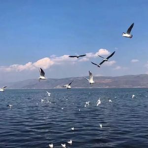 高H肉 上下其手
