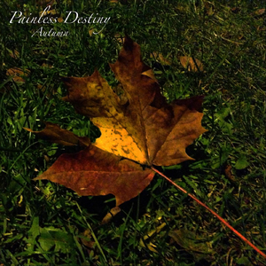 91av视频在线观看
