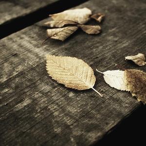 欧美性生交xxxxx办公室
