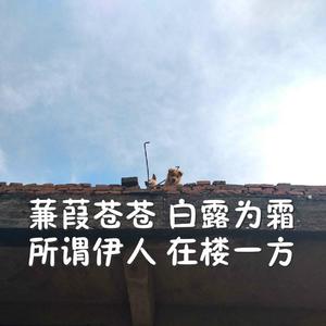 91av视频在线观看
